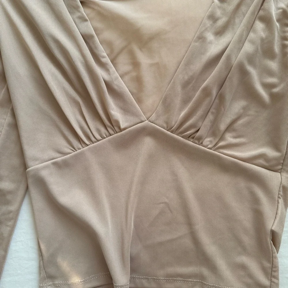 Brown Sheer Mesh V-Neck Long-Sleeved Top - Picture 5 of 6